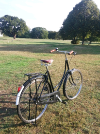 pashley parabike ebay